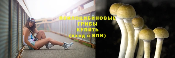 стаф Баксан
