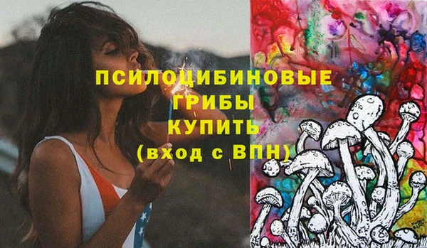 стаф Баксан