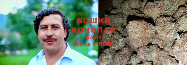 стаф Баксан