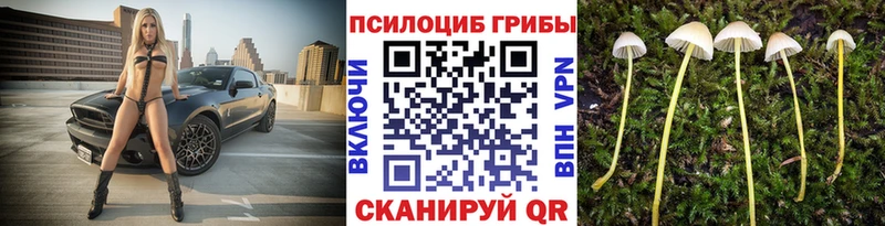 Псилоцибиновые грибы GOLDEN TEACHER  магазин    Кяхта 